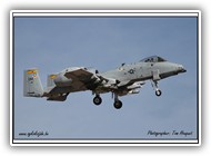 A-10 USAF 80-0141 DM